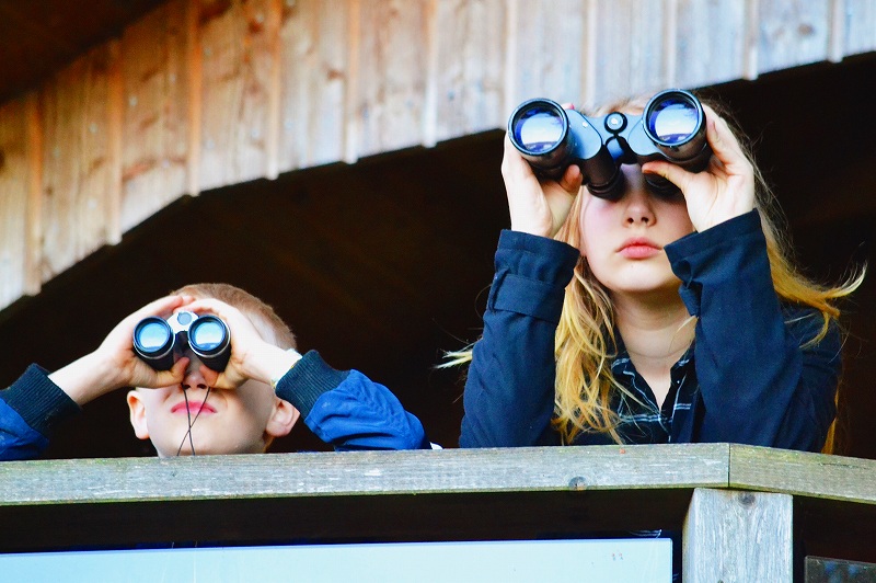 「見る」の英単語、look, watch, seeはどう使い分ける? - えいごリスタ